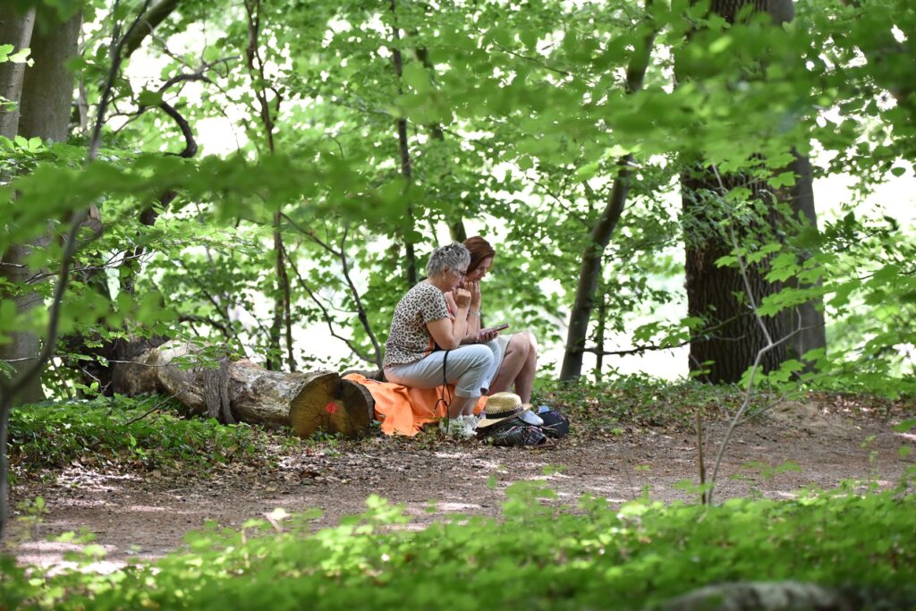 Workshops Midsummer Weeks